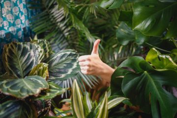 Thumbs up in group of plants
